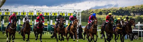 super yankee bet calculator
